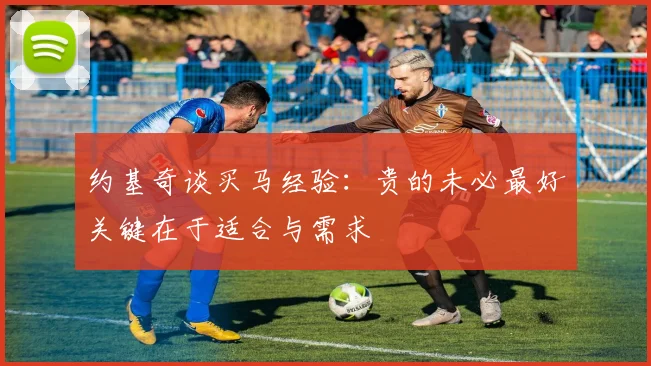 约基奇谈买马经验：贵的未必最好关键在于适合与需求
