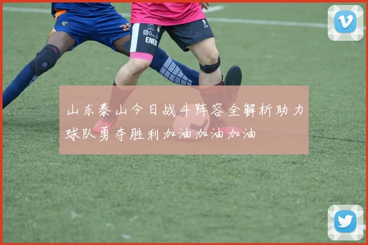 山东泰山今日战斗阵容全解析助力球队勇夺胜利加油加油加油